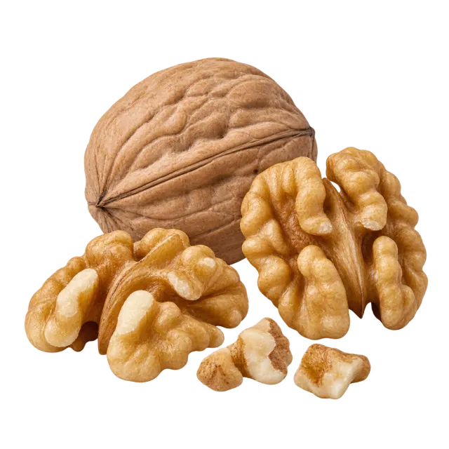 A whole walnut and shelled kernels on a yellow background with dog and cat outlines: the fresh product needs restrictions for both species.
