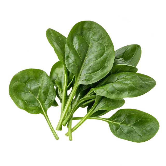 Spinach leaves on a yellow background, with dog and cat outlines indicating a restricted-use rating for both species.