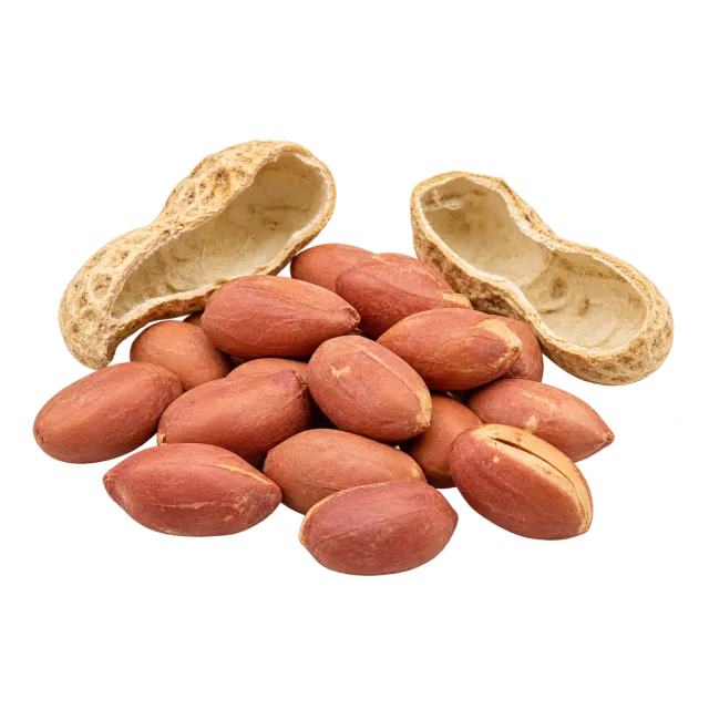 Shelled peanuts and opened shells on a yellow background; the yellow rating for dogs and cats applies to a small amount of fresh, unsalted kernels.