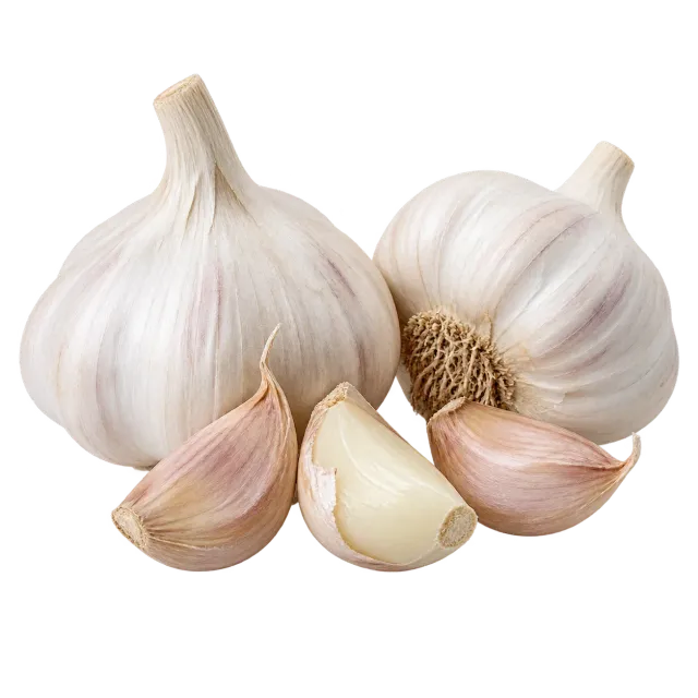 Two garlic bulbs and cloves on a red background with outline dog and cat icons; garlic is dangerous for both species