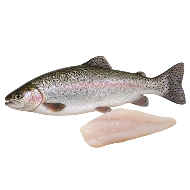 A whole trout and fish fillet on a yellow background with dog and cat icons: fish is suitable with restrictions.